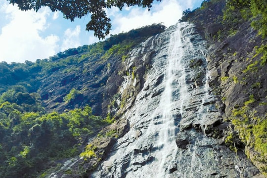 Bạch Mã trên đỉnh Trường Sơn