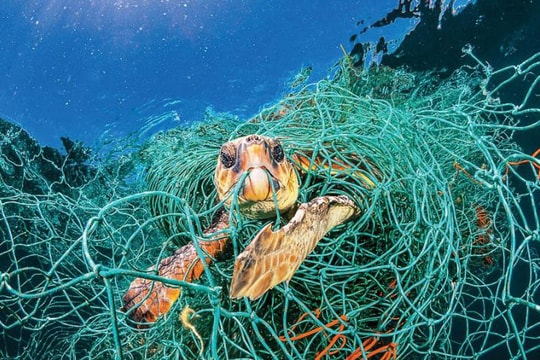 Rác thải ở đại dương sẽ biến trái đất thành “hành tinh plastic”?