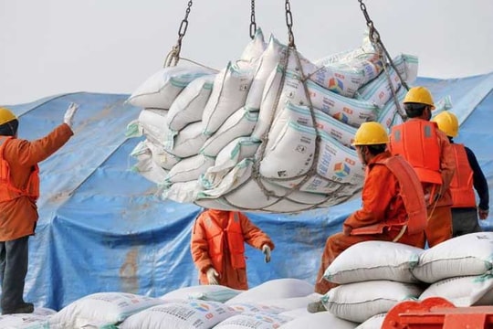 Trung Quốc ngừng nhập đậu nành Mỹ giữa căng thẳng thương mại