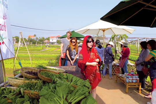 Về quê khởi nghiệp