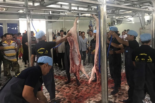 Hơn 10 tỷ đồng cho cơ sở giết mổ tập trung hiện đại nhất tỉnh Hậu Giang