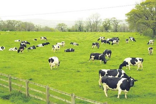 Hoạt động doanh nghiệp tuần qua (29/12/2018 - 4/1/2019)