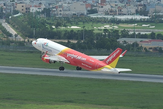 Vietjet vận chuyển mai, đào dịp tết Kỷ Hợi 2019