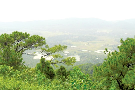 Một thoáng Côn Sơn