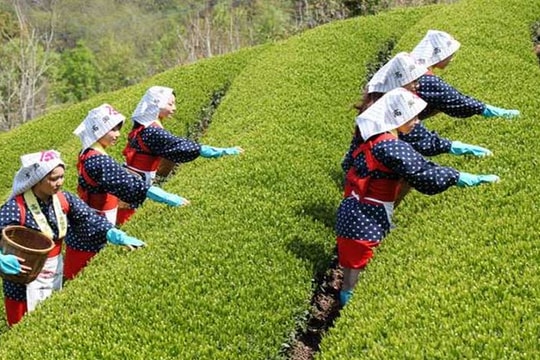 Tình trạng thiếu lao động trầm trọng của Nhật có là cơ hội cho lao động nước ngoài?