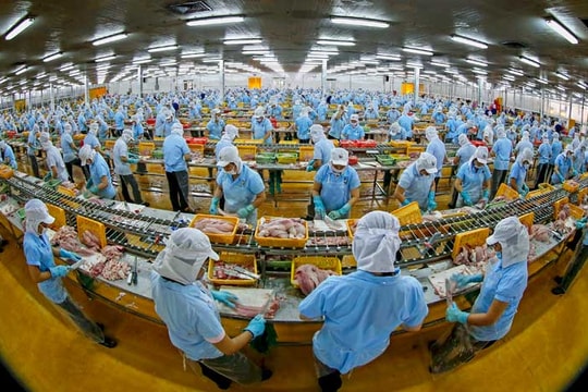 Doanh nghiệp Việt trong CPTPP: 5 lợi ích song hành 3 thách thức