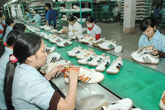 Thuế giảm mạnh nhờ CPTPP nhưng vì sao doanh nghiệp Việt chưa vội mừng?
