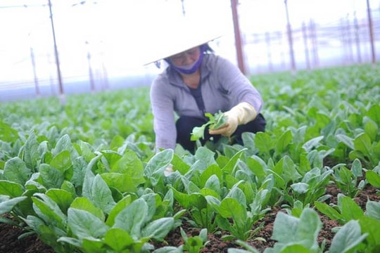 Hoạt động doanh nghiệp tuần qua (19 - 25/1/2019)