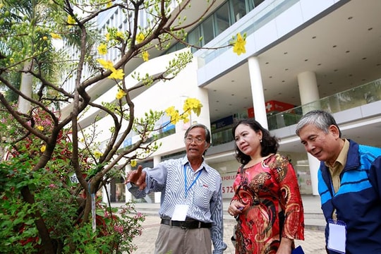 "Kỳ hoa dị thảo" tại Hội chợ hoa Xuân Phú Mỹ Hưng