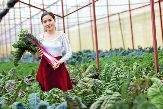 Con đường khởi nghiệp "thuận theo tự nhiên" của nhà sáng lập Đà Lạt Ecofarm