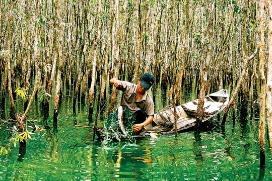 Miền Tây, lạ lạ, xưa xưa...