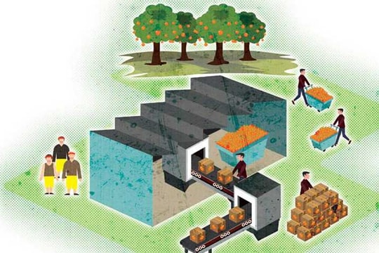 Tìm hướng đi bền vững cho doanh nghiệp tạo tác động xã hội trong nông nghiệp