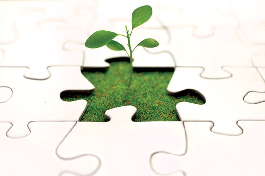 Ưu đãi "tín dụng xanh" từ ngành ngân hàng: Doanh nghiệp làm gì để được vay vốn?