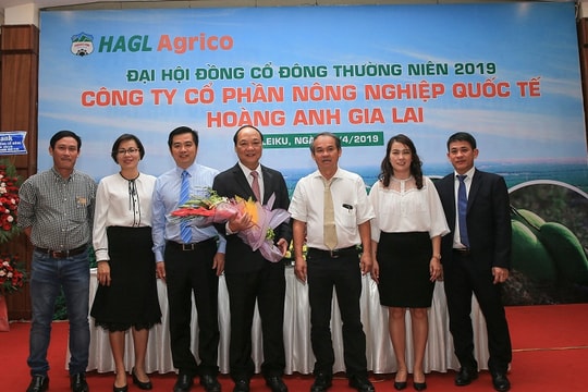 HAGL bán 20.000 ha đất cho Thaco là chuyển nhượng công ty con