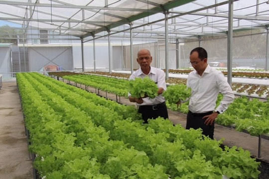 Diễn đàn Kinh tế Kiều bào toàn cầu lần thứ nhất: Kết nối mạng lưới doanh nhân Việt