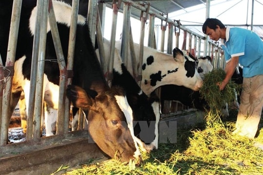 Thực hiện số hóa và hình thành dữ liệu lớn các chuỗi nông lâm thủy hải sản