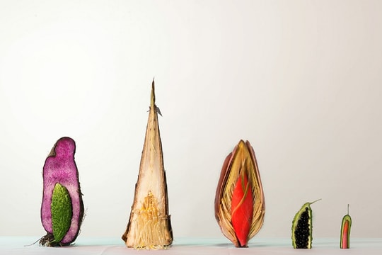 Triển lãm đôi của Oanh Phi Phi và Võ Thủy Tiên