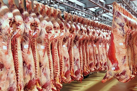 Cấp đông thịt lợn giữa "tâm bão" dich: DN chưa yên tâm