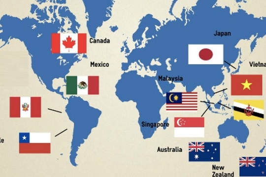 Các cơ quan đầu mối triển khai Hiệp định CPTPP