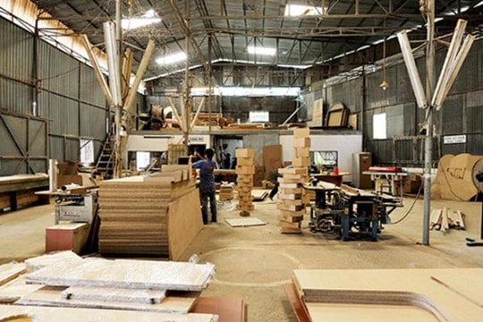 Đóng cửa những trường đại học kém chất lượng, cảnh báo rủi ro thương mại từ nhập khẩu gỗ Trung Quốc