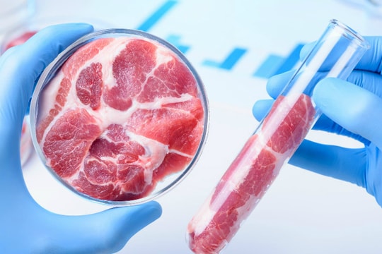Thịt nhân tạo: Tiềm năng song còn nhiều thách thức