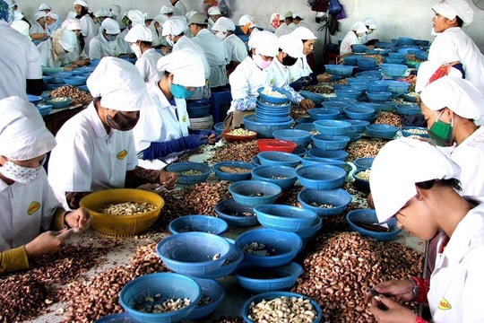 Sản phẩm Việt Nam vào Mỹ qua kênh bán hàng điện tử