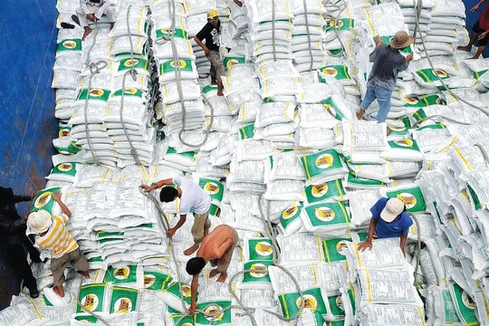 Xuất khẩu lương thực, thực phẩm: Cơ hội và thách thức đan xen