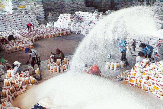 Ba mươi năm xuất khẩu gạo không dấu ấn thương hiệu