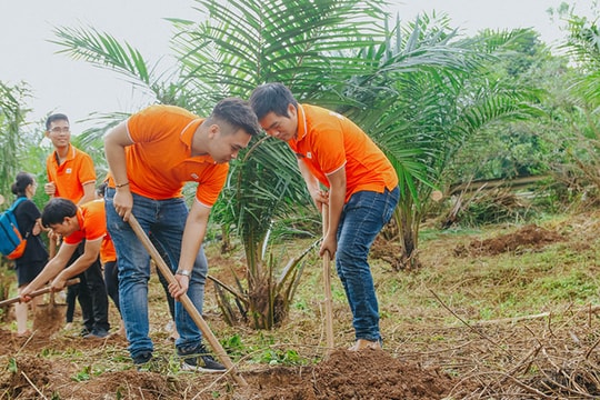 Trồng mới 20.000 cây xanh góp phần chống biến đổi khí hậu