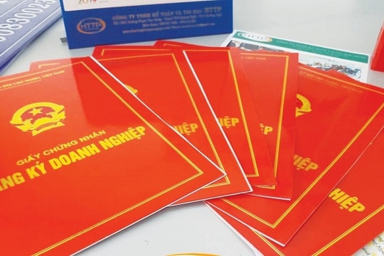 Công ty TNHH MTV do cá nhân làm chủ sở hữu và doanh nghiệp tư nhân khác nhau thế nào? Công ty TNHH MTV do cá nhân làm chủ sở hữu và doanh nghiệp tư nhân khác nhau thế nào?