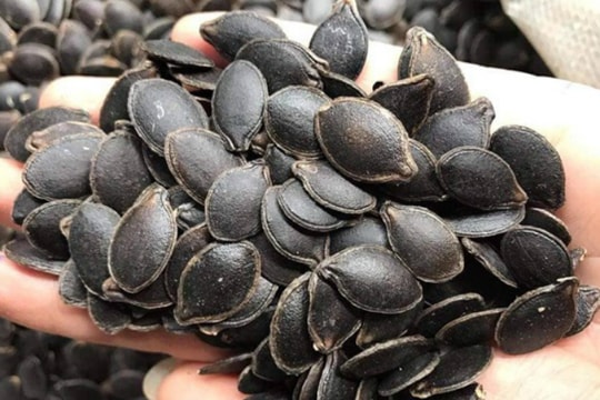 Hạt bí Mèo đen “hút hàng” cuối năm