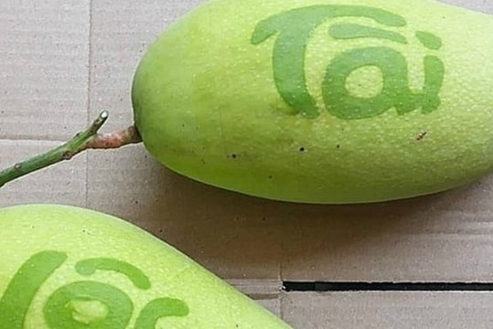 Xoài "nhả chữ" cho mùa Tết 2020