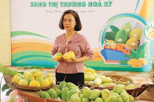 Đến lúc “khai phá” thị trường châu Mỹ