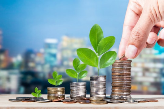 Hơn 800 triệu USD đầu tư vào startup Việt năm 2019