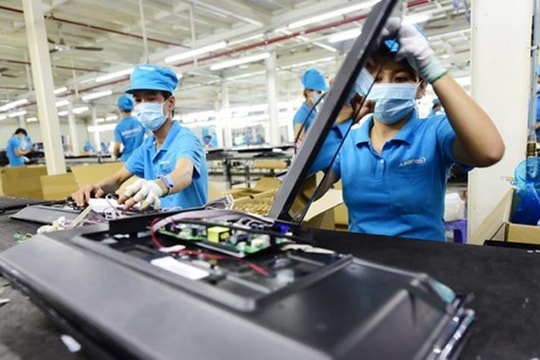 Ba mươi năm chậm lớn, doanh nghiệp tư nhân Việt bé nhỏ nhất Đông Nam Á