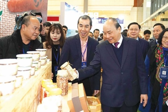 Thúc đẩy kinh tế tư nhân phát triển