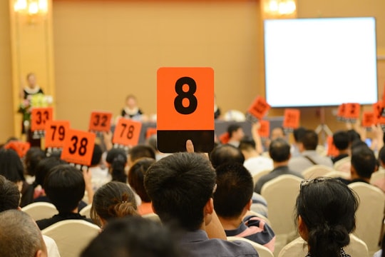 Loại tài sản nào bắt buộc phải bán thông qua đấu giá? Loại tài sản nào bắt buộc phải bán thông qua đấu giá?
