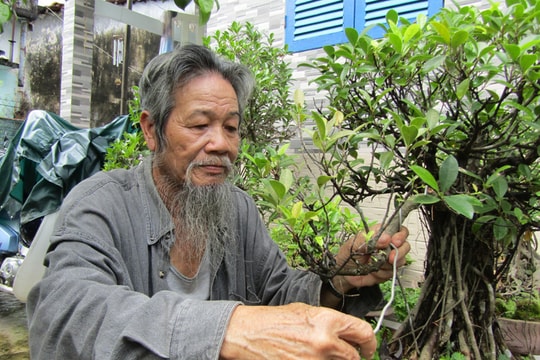 Sửa kiểng, nghề hái ra tiền ngày Tết