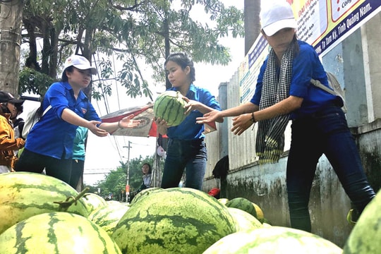 Hãy giúp dân nghèo Ninh Thuận quê tôi