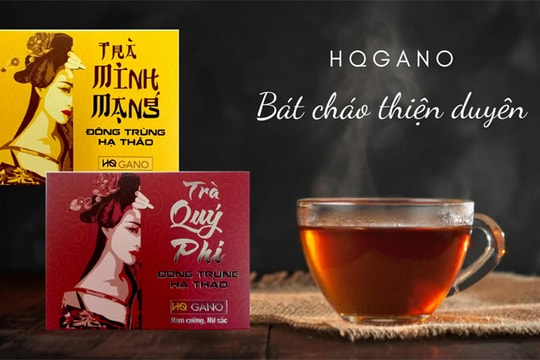 Phát triển trà thảo dược đông trùng hạ thảo