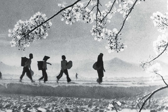 Về đón Tết quê nhà