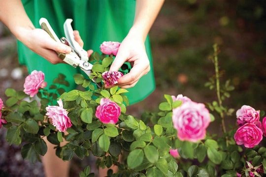 Sở thích giúp cải thiện sức khỏe