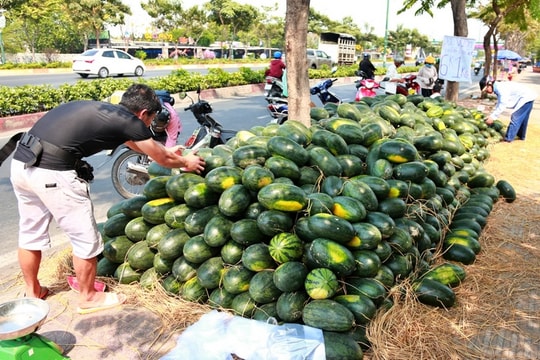 Hàng Việt mùa dịch Corona