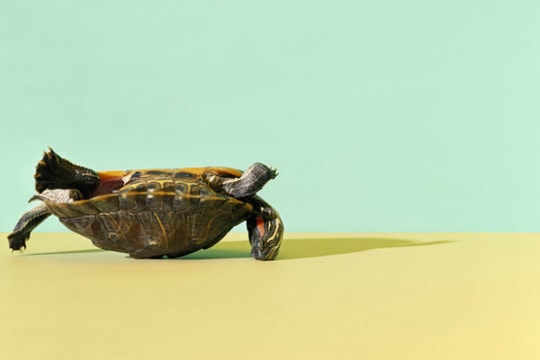 Ba chiếc bẫy chết người khiến nhân viên "mất lửa"