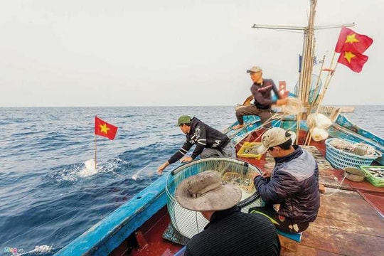 Gỡ cảnh báo “thẻ vàng” vẫn khó