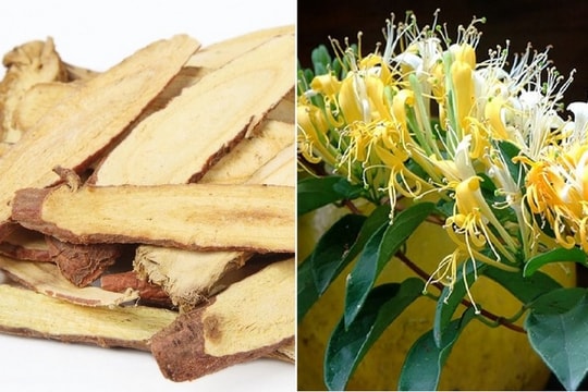 Đông - Tây y kết hợp để đẩy lùi dịch bệnh Covid-19