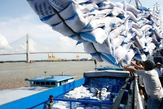 Xuất khẩu gạo nhiều lại lo?