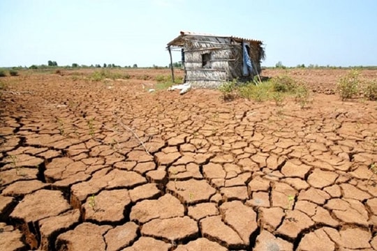 Hỗ trợ 530 tỷ đồng cho phòng, chống hạn hán, xâm nhập mặn