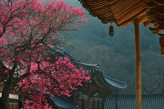 Tổng cục Du lịch Hàn Quốc tổ chức cuộc thi “Relive Your Korea Trip”