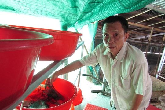 Tỷ phú miệt vườn